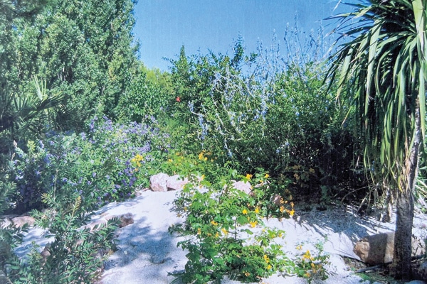 Jardins autonomes réalisés par Signatures à Montagnac