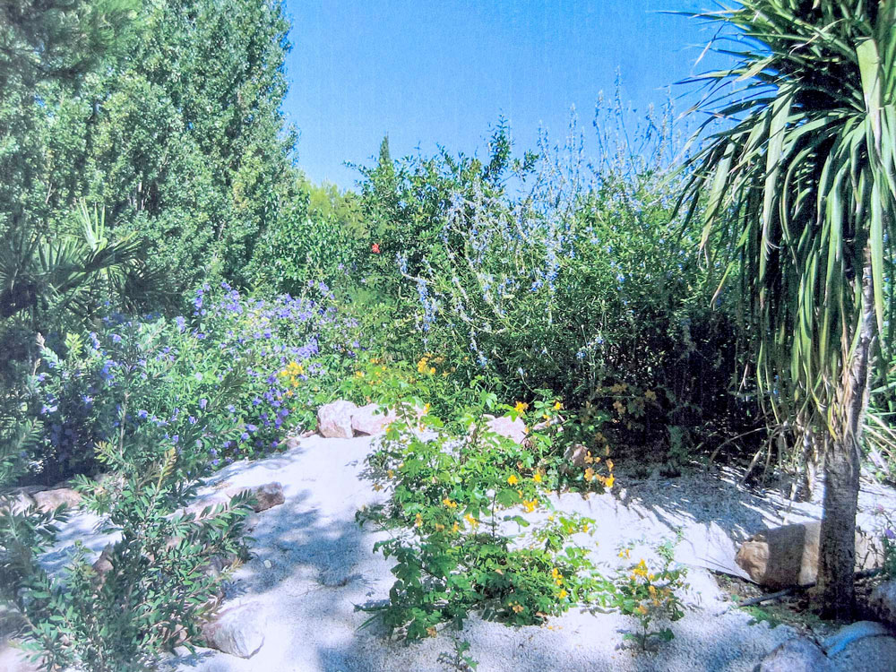 Signatures à Montagnac spécialiste de la création de jardins autonomes en eau